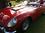 2011 Winter Park Concours 102